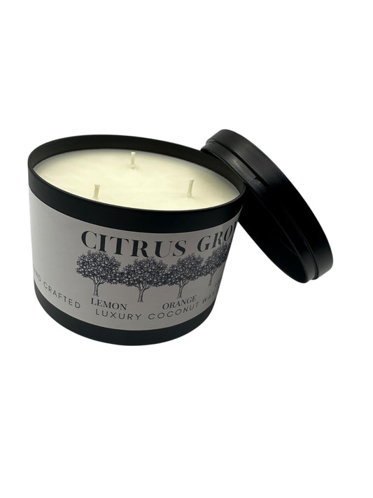 Citrus Grove Travel Sized Candle Tin 16 oz Best Gift for Travel Lovers Handcrafted Luxury Coconut Blend Wax Travel Inspired Scented Candle - World Traveler Aroma