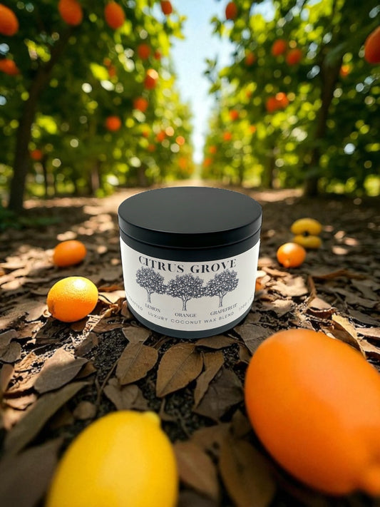 A black candle tin labeled Citrus Grove resting on the ground surrounded by lemons and oranges with orange trees in the background.