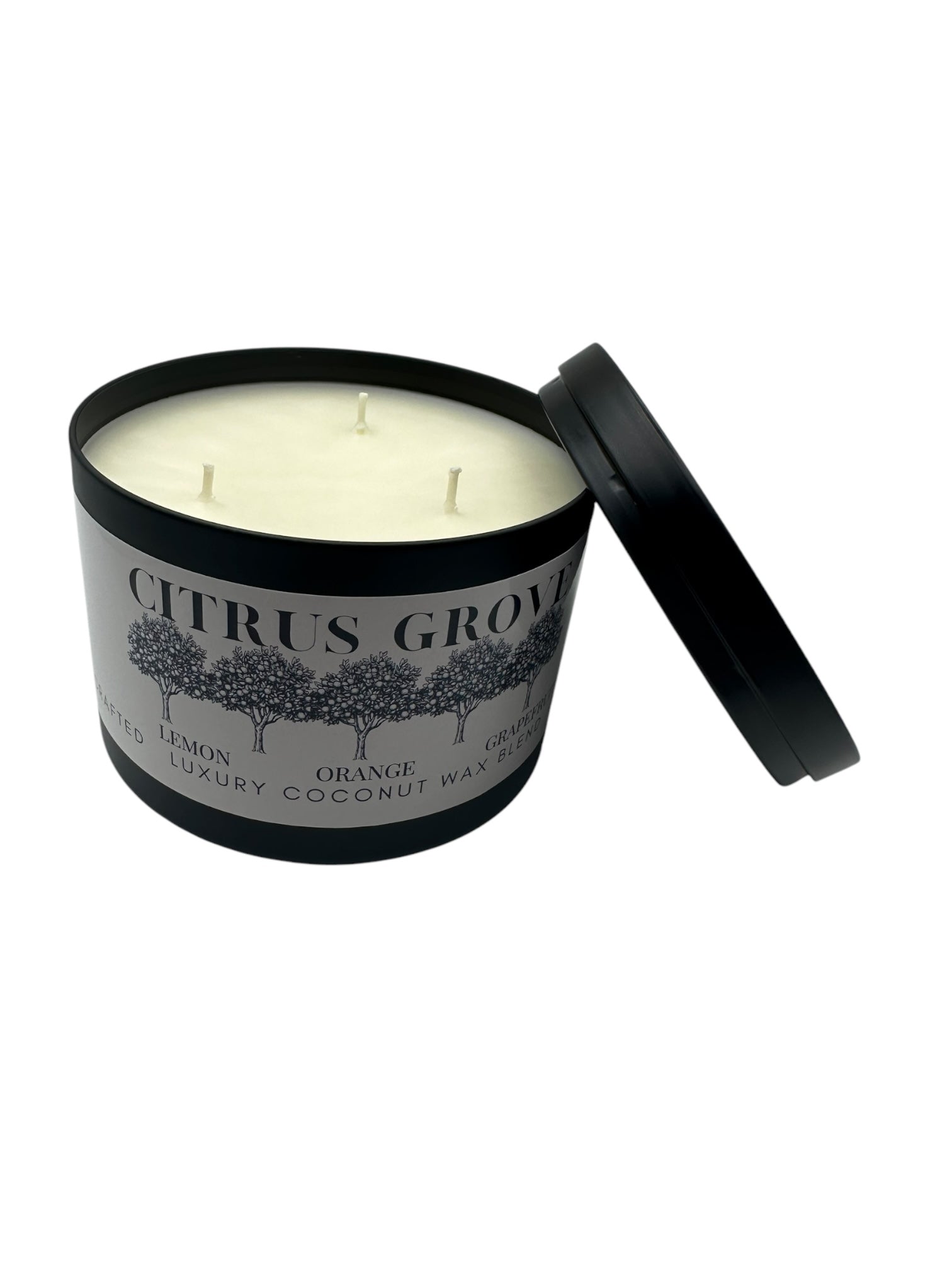Citrus Grove Travel Sized Candle Tin 6 oz Best Gift for Travel Lovers Handcrafted Luxury Coconut Blend Wax Travel Inspired Scented Candle - World Traveler Aroma