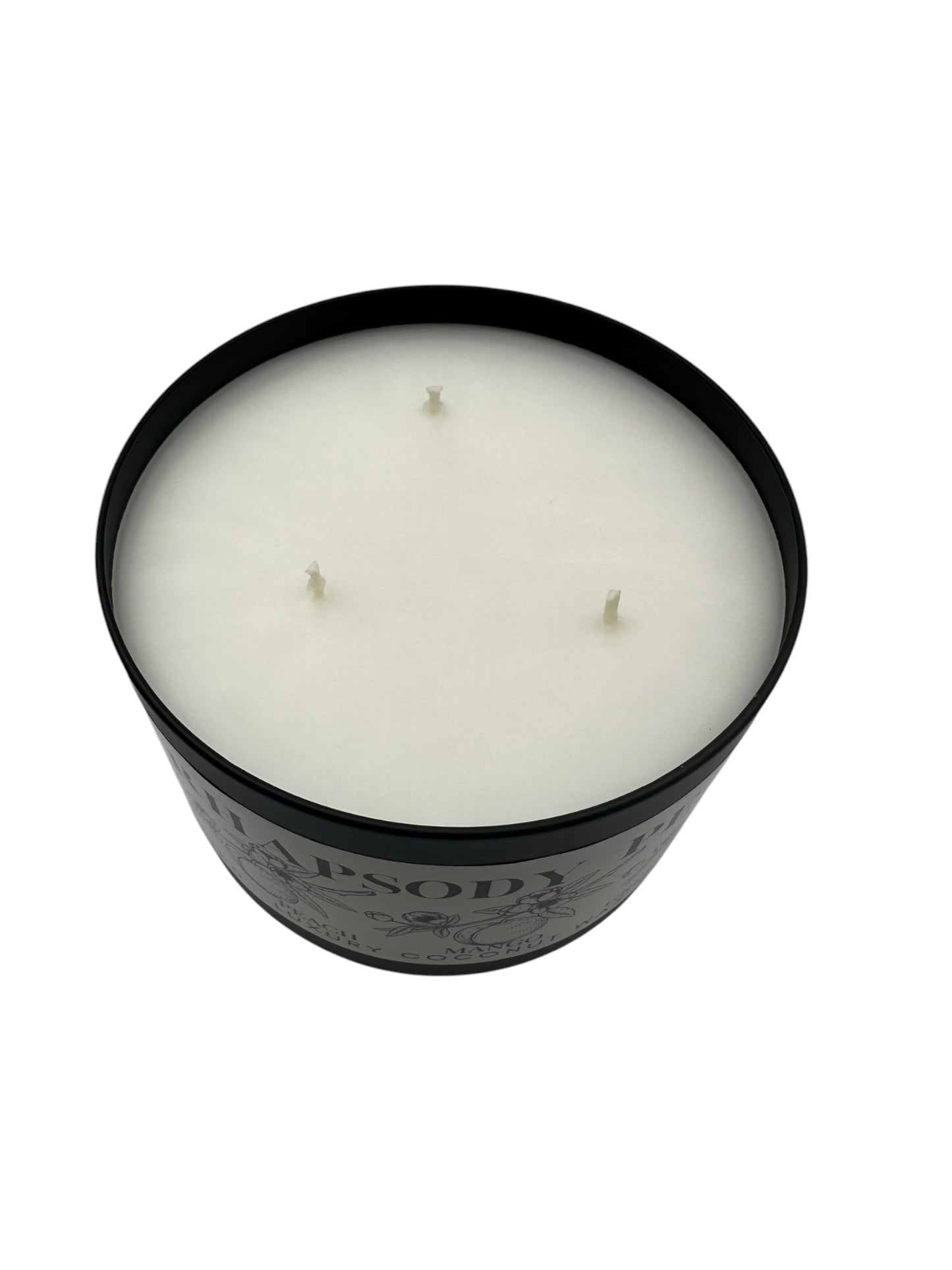 Rhapsody Peach Travel Sized Candle Tin 16 oz Best Gift for Travel Lovers Handcrafted Luxury Coconut Blend Wax Travel Inspired Scented Candle - World Traveler Aroma