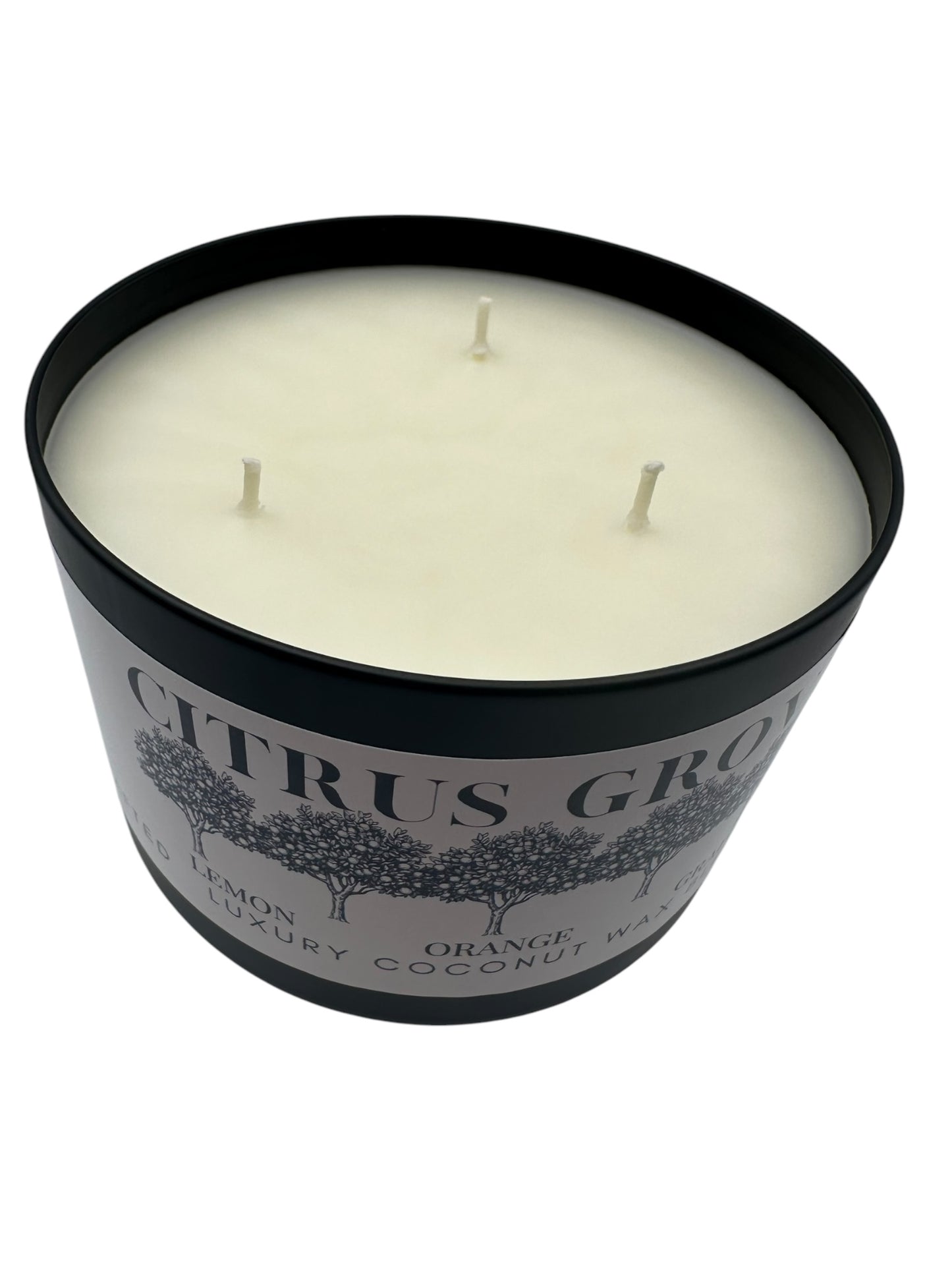 Citrus Grove Travel Sized Candle Tin 16 oz Best Gift for Travel Lovers Handcrafted Luxury Coconut Blend Wax Travel Inspired Scented Candle - World Traveler Aroma