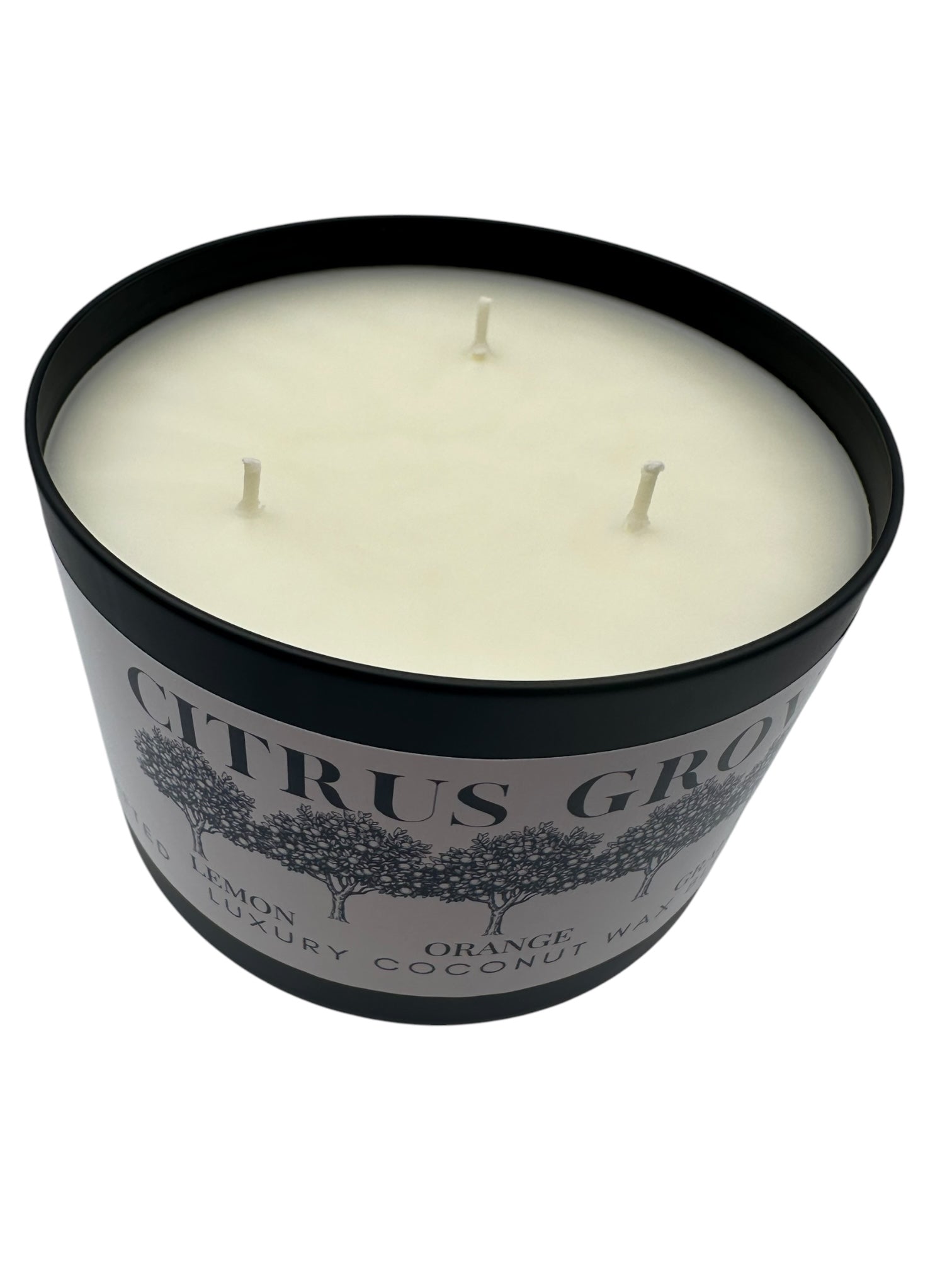 Citrus Grove Travel Sized Candle Tin 16 oz Best Gift for Travel Lovers Handcrafted Luxury Coconut Blend Wax Travel Inspired Scented Candle - World Traveler Aroma