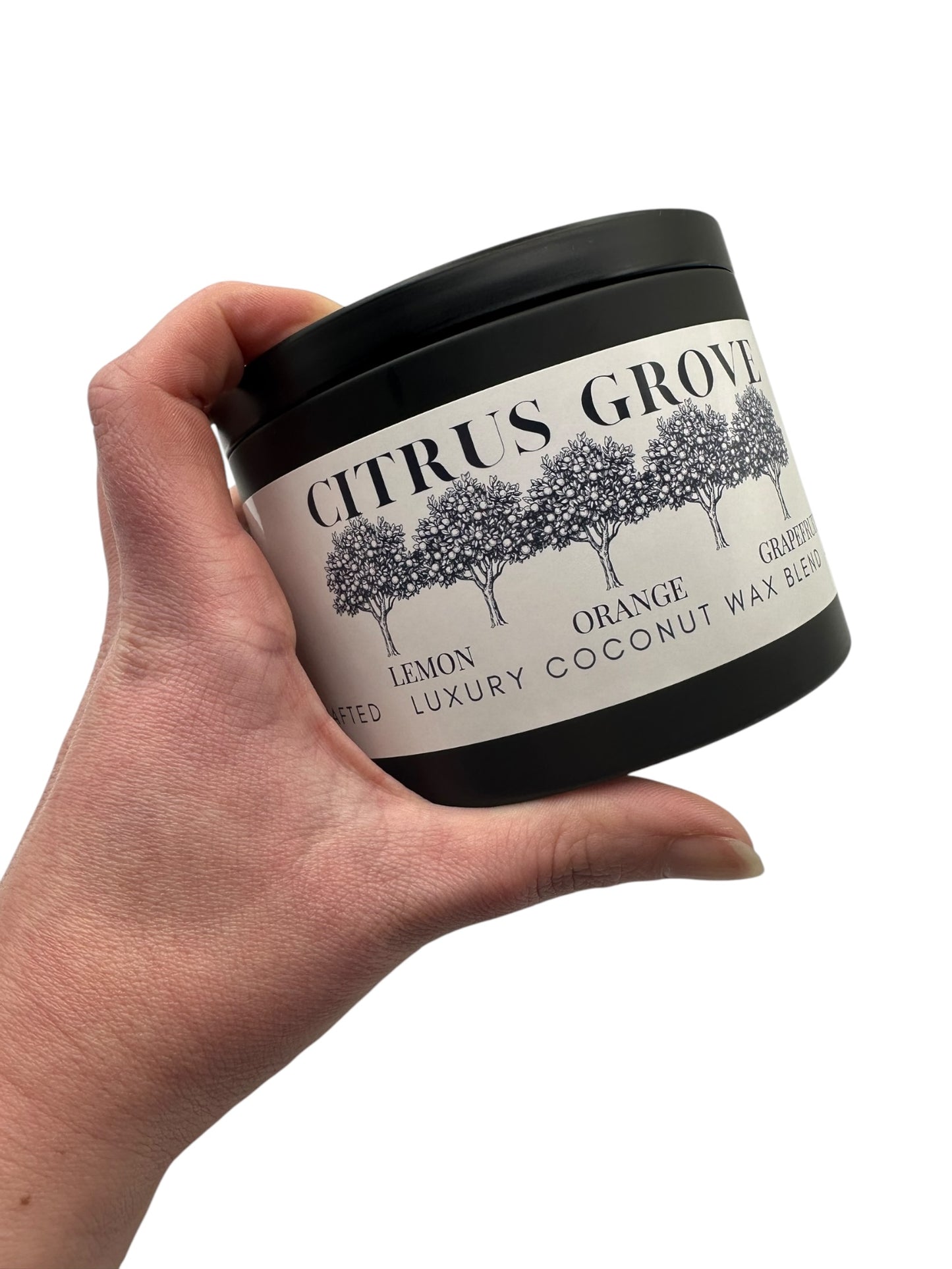 Citrus Grove Travel Sized Candle Tin 16 oz Best Gift for Travel Lovers Handcrafted Luxury Coconut Blend Wax Travel Inspired Scented Candle - World Traveler Aroma