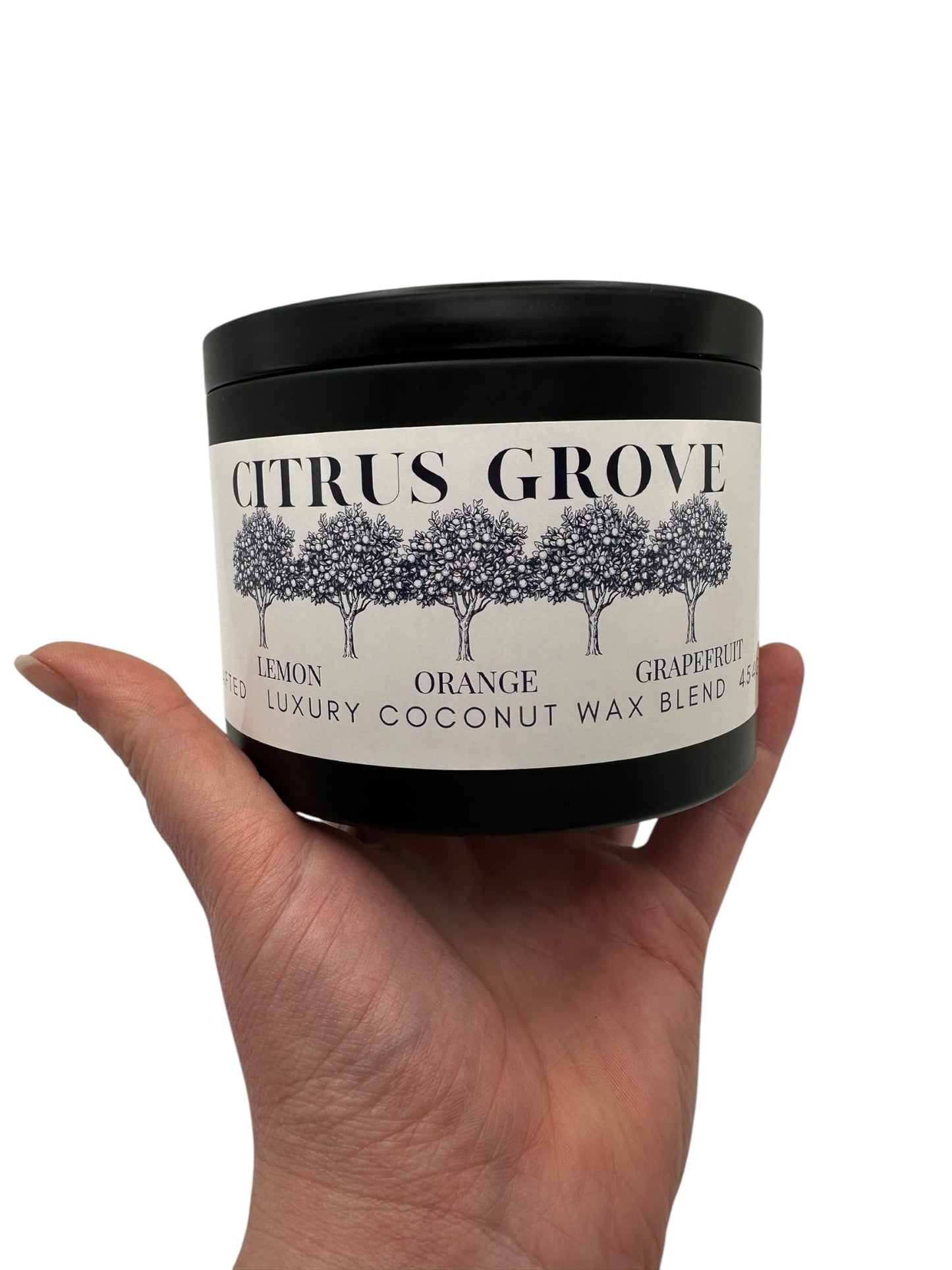 Citrus Grove Travel Sized Candle Tin 16 oz Best Gift for Travel Lovers Handcrafted Luxury Coconut Blend Wax Travel Inspired Scented Candle - World Traveler Aroma