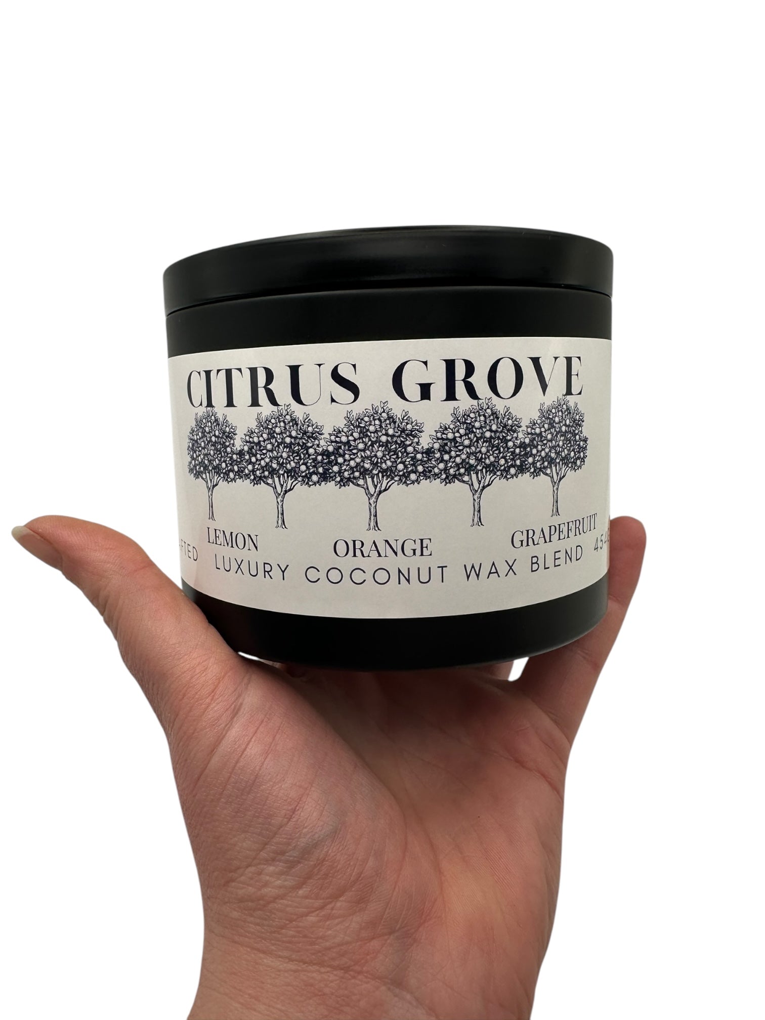Citrus Grove Travel Sized Candle Tin 16 oz Best Gift for Travel Lovers Handcrafted Luxury Coconut Blend Wax Travel Inspired Scented Candle - World Traveler Aroma