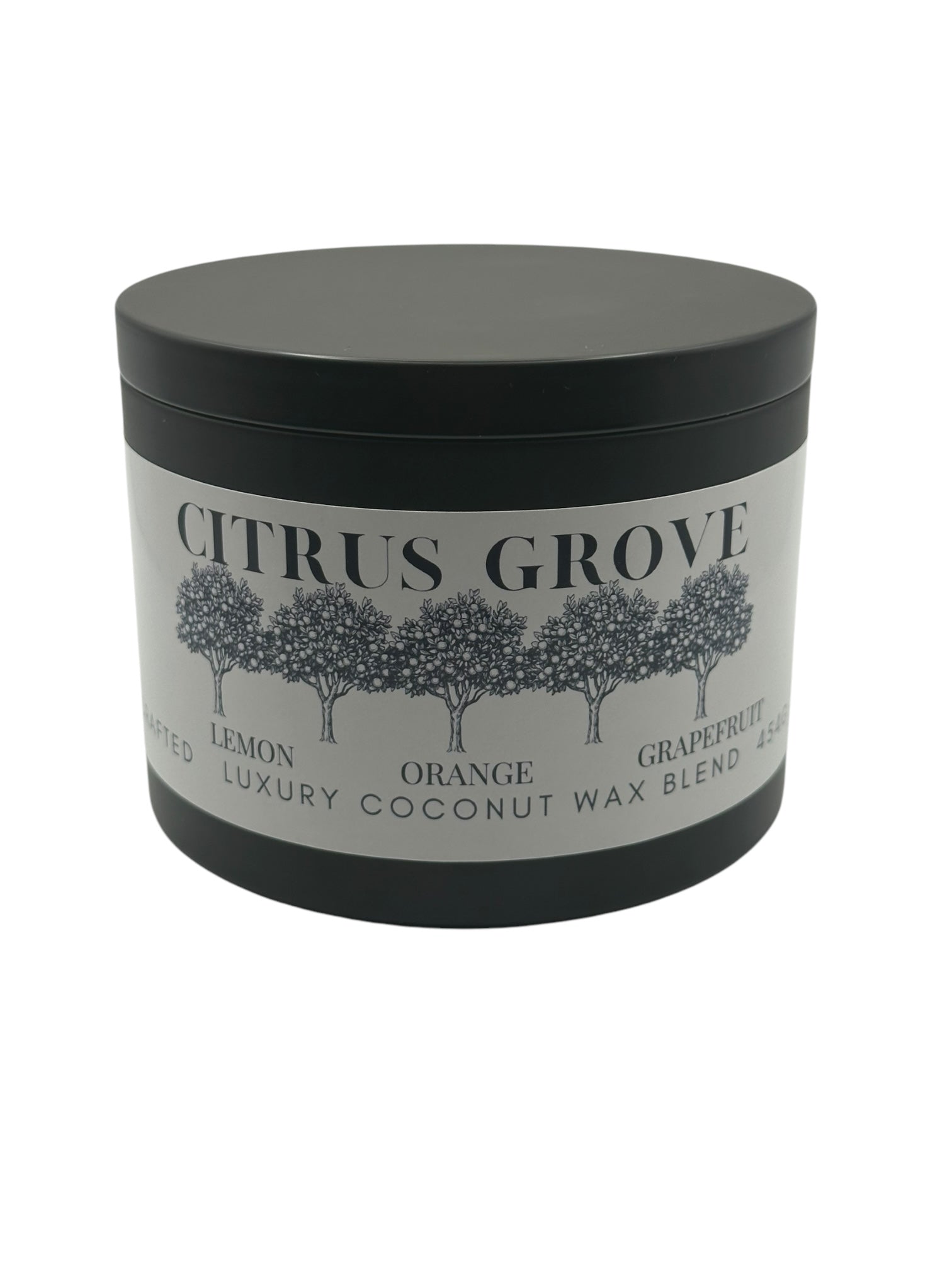 Citrus Grove Travel Sized Candle Tin 16 oz Best Gift for Travel Lovers Handcrafted Luxury Coconut Blend Wax Travel Inspired Scented Candle - World Traveler Aroma