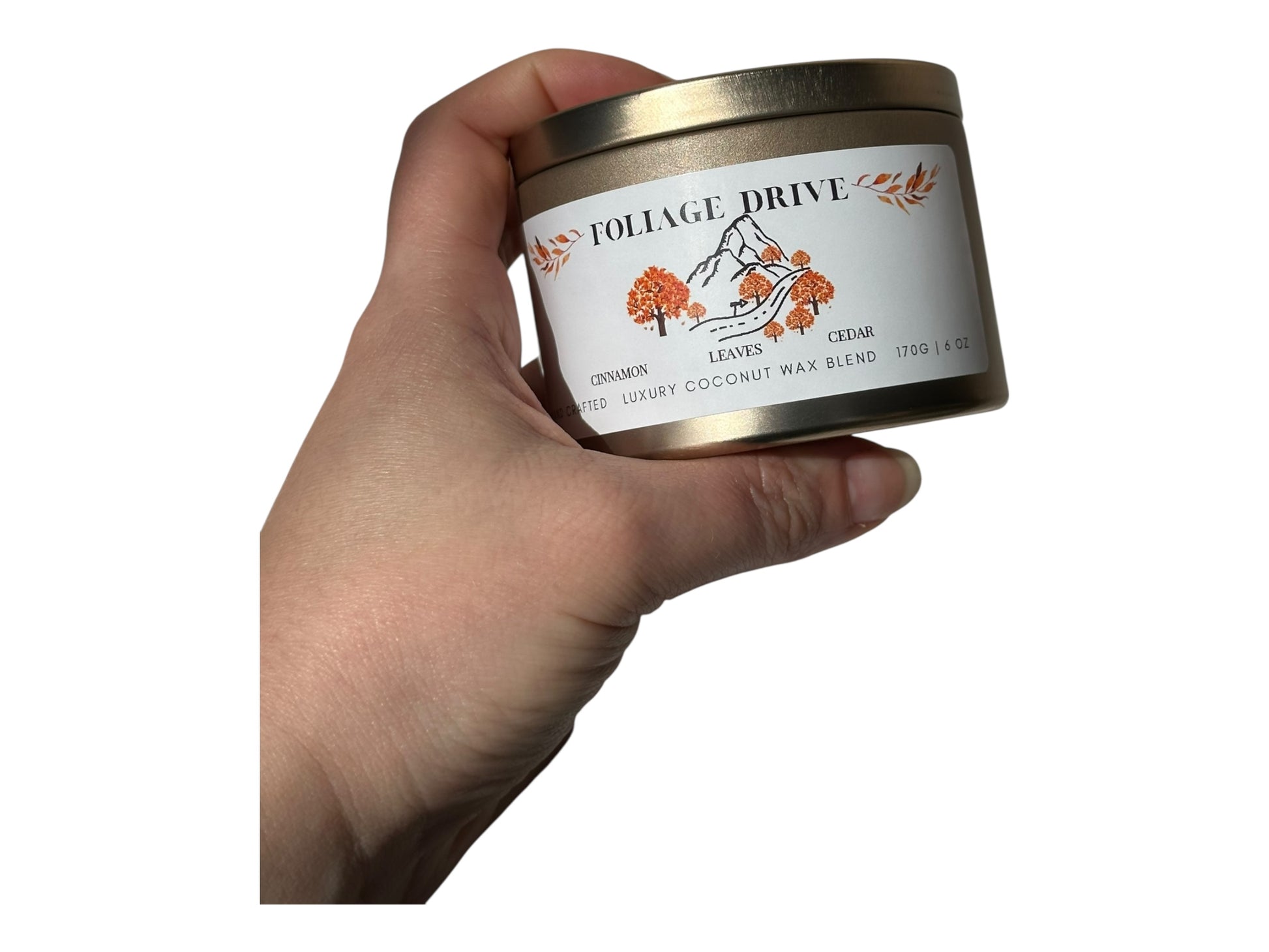 A hand holding a gold candle tin  labeled 'Foliage Drive' with a white background.