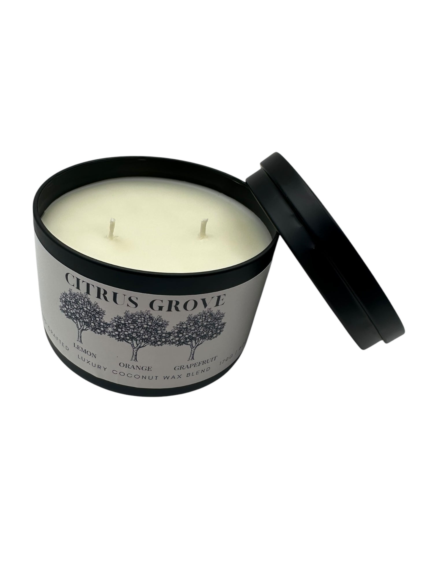 Citrus Grove Travel Sized Candle Tin 6 oz Best Gift for Travel Lovers Handcrafted Luxury Coconut Blend Wax Travel Inspired Scented Candle - World Traveler Aroma