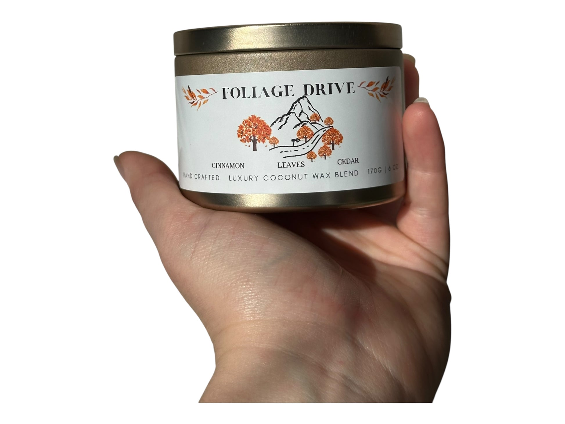 A hand holding a gold candle tin labeled 'Foliage Drive' with a white background.