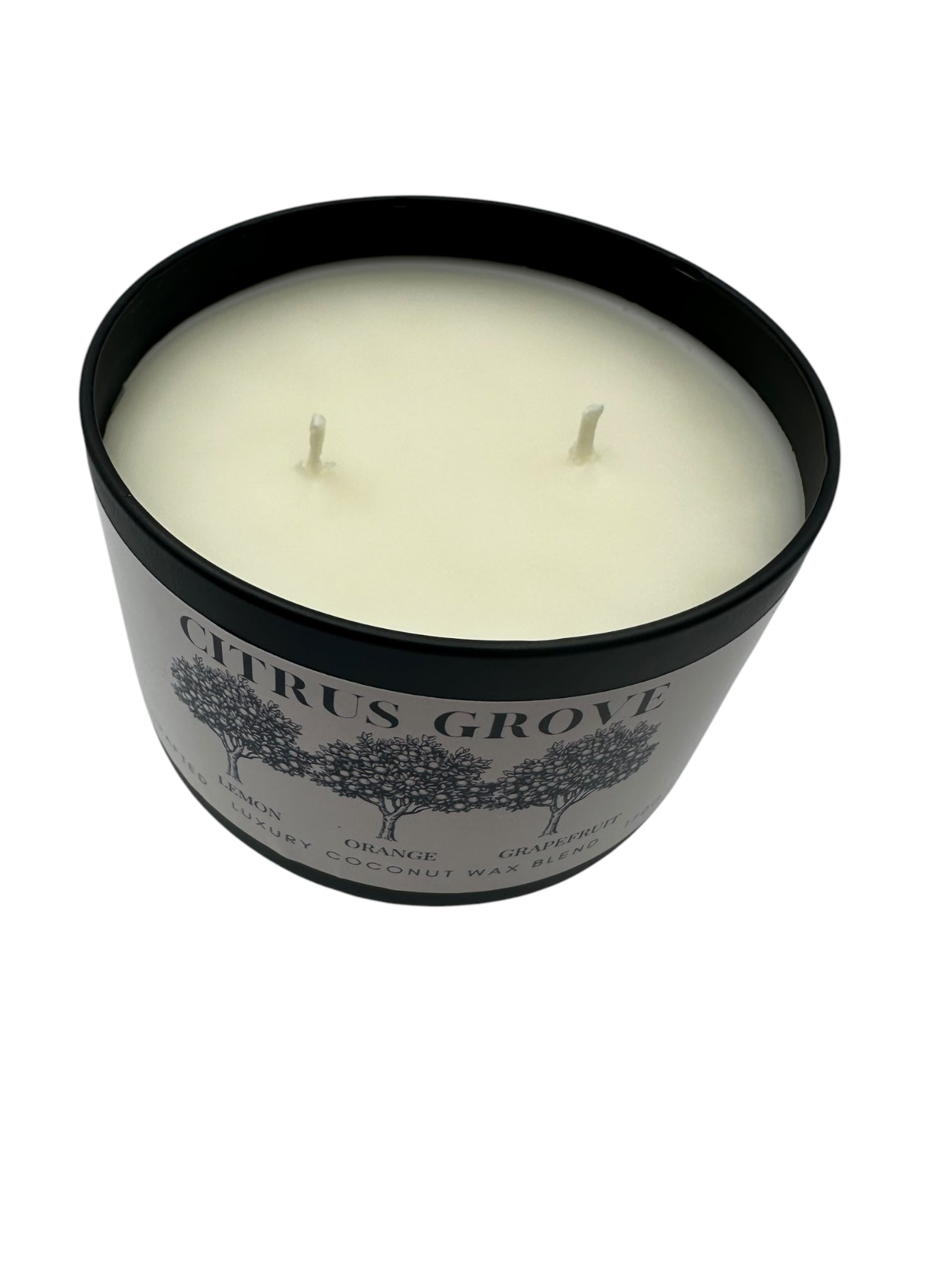 Citrus Grove Travel Sized Candle Tin 6 oz Best Gift for Travel Lovers Handcrafted Luxury Coconut Blend Wax Travel Inspired Scented Candle - World Traveler Aroma