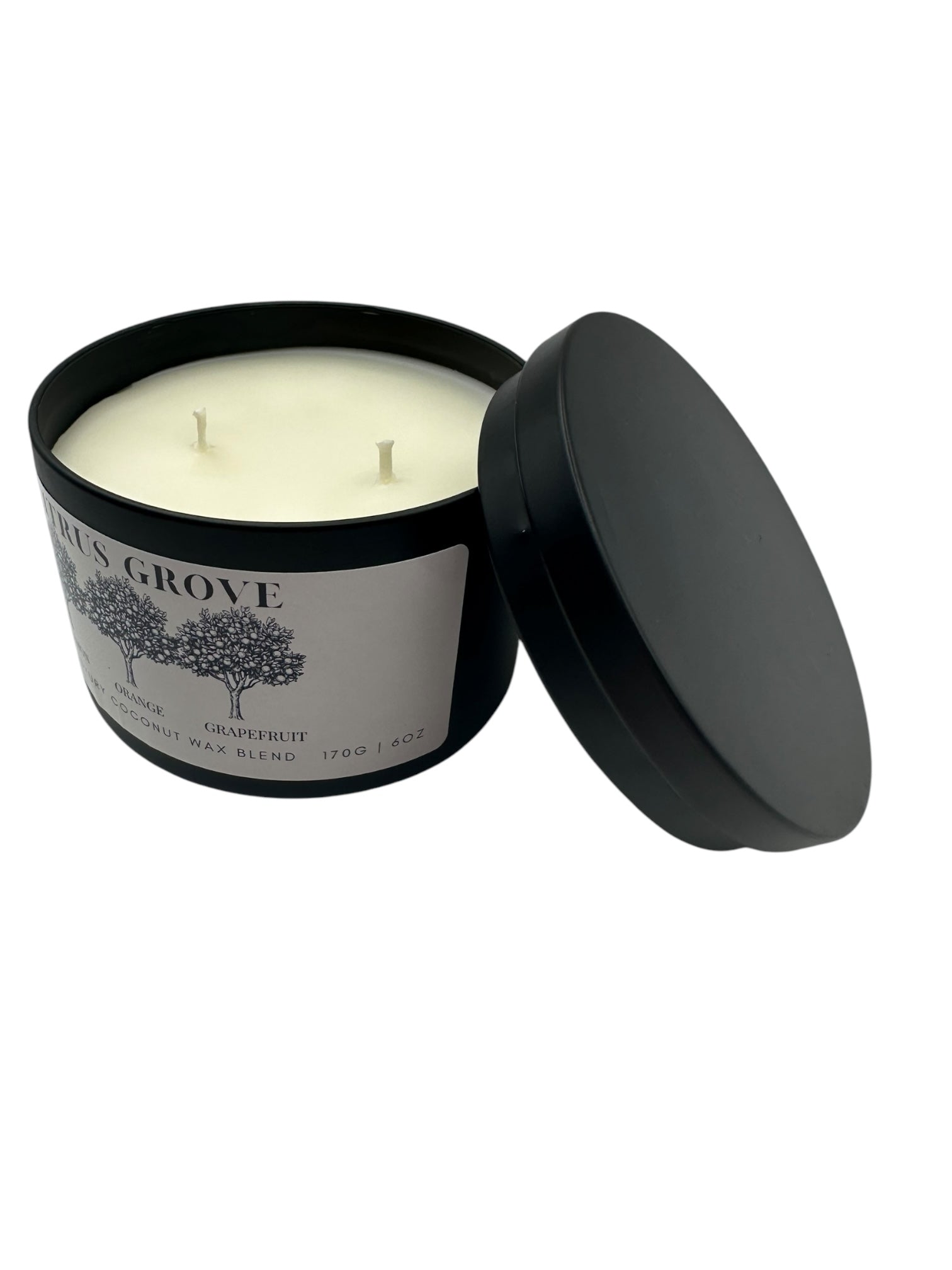 Citrus Grove Travel Sized Candle Tin 6 oz Best Gift for Travel Lovers Handcrafted Luxury Coconut Blend Wax Travel Inspired Scented Candle - World Traveler Aroma