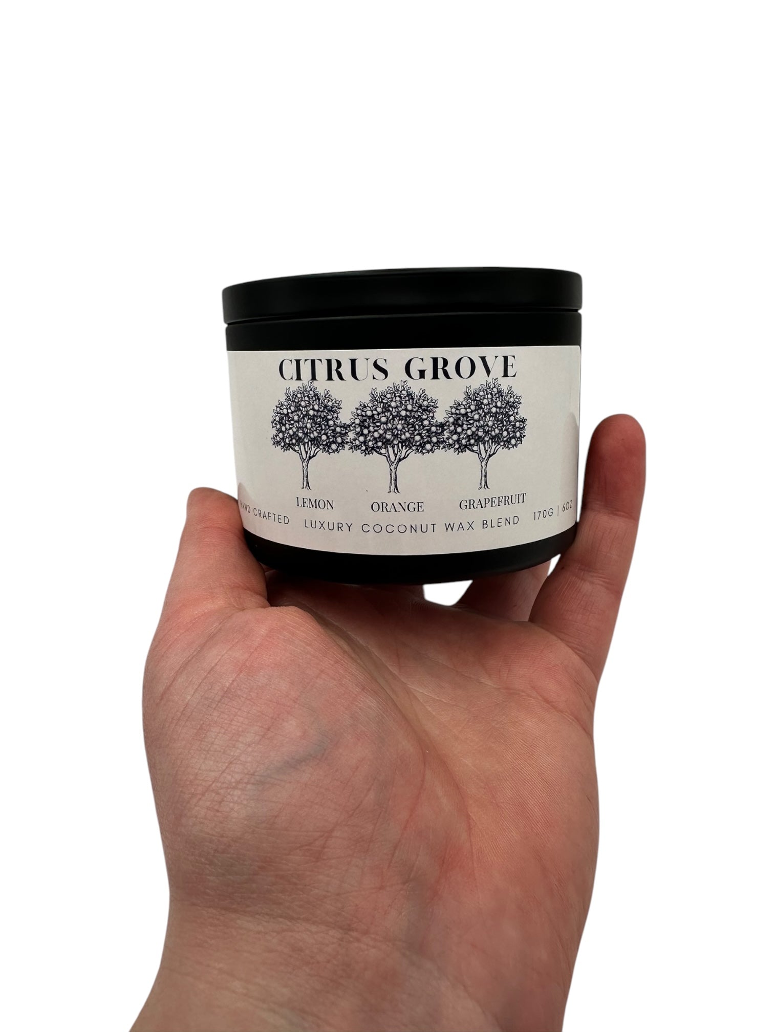 Citrus Grove Travel Sized Candle Tin 6 oz Best Gift for Travel Lovers Handcrafted Luxury Coconut Blend Wax Travel Inspired Scented Candle - World Traveler Aroma