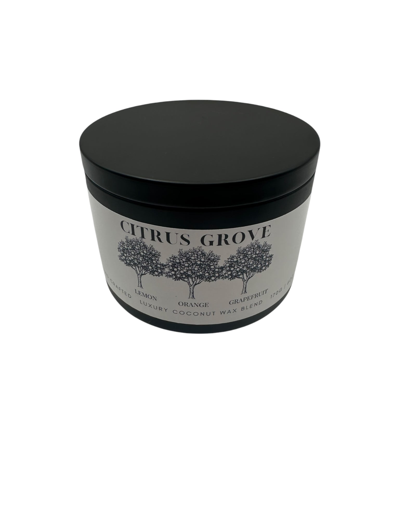 Citrus Grove Travel Sized Candle Tin 6 oz Best Gift for Travel Lovers Handcrafted Luxury Coconut Blend Wax Travel Inspired Scented Candle - World Traveler Aroma