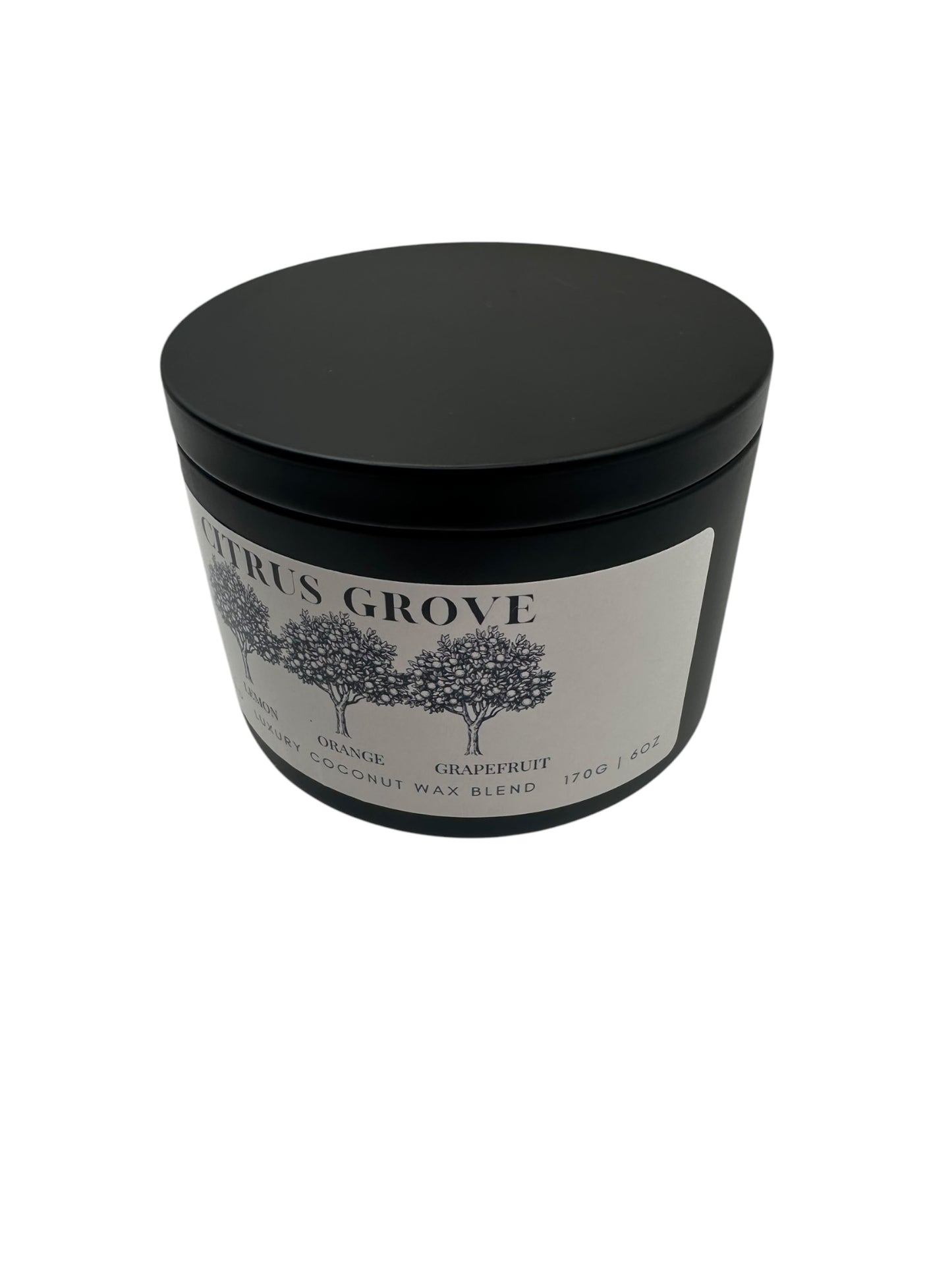 Citrus Grove Travel Sized Candle Tin 16 oz Best Gift for Travel Lovers Handcrafted Luxury Coconut Blend Wax Travel Inspired Scented Candle - World Traveler Aroma
