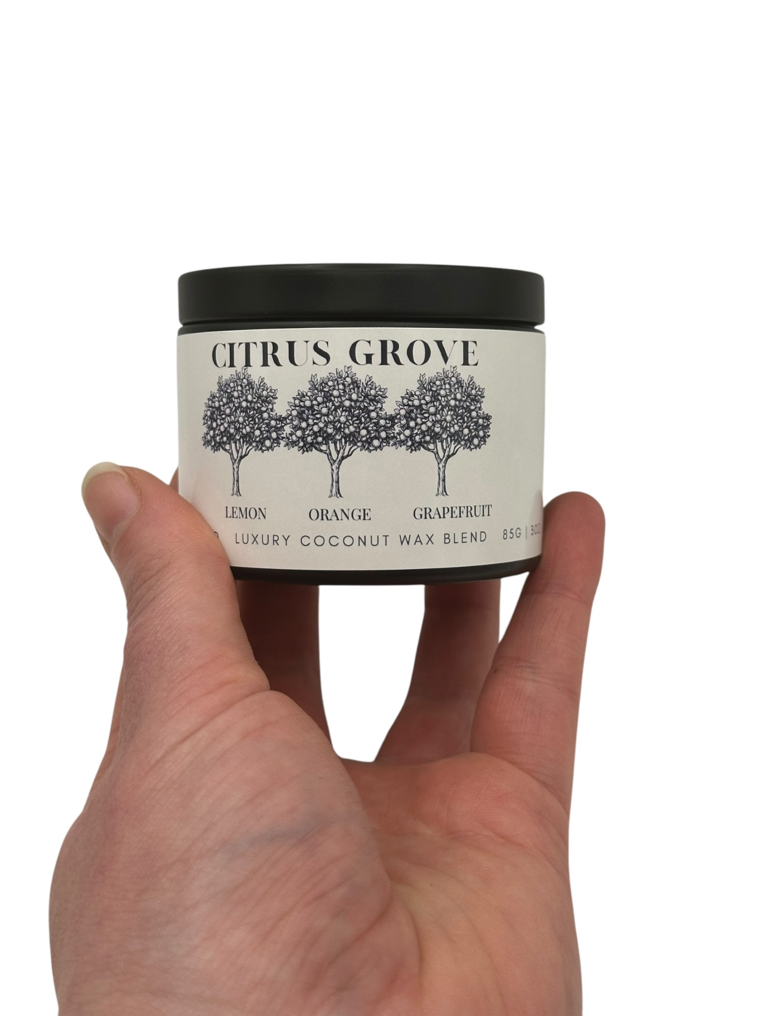 Citrus Grove Travel Sized Candle Tin 3 oz Best Gift for Travel Lovers Handcrafted Luxury Coconut Blend Wax Travel Inspired Scented Candle - World Traveler Aroma