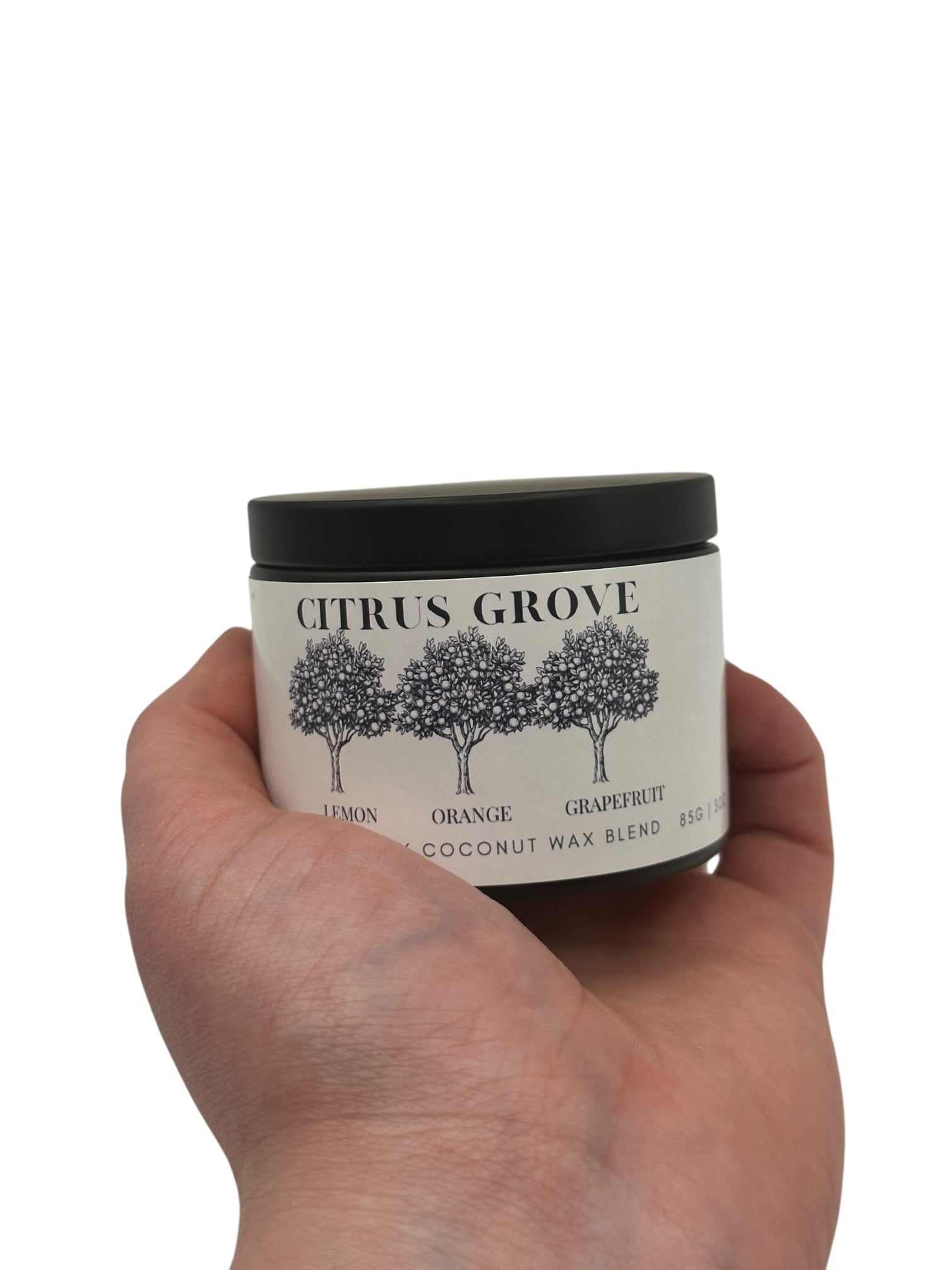Citrus Grove Travel Sized Candle Tin 6 oz Best Gift for Travel Lovers Handcrafted Luxury Coconut Blend Wax Travel Inspired Scented Candle - World Traveler Aroma