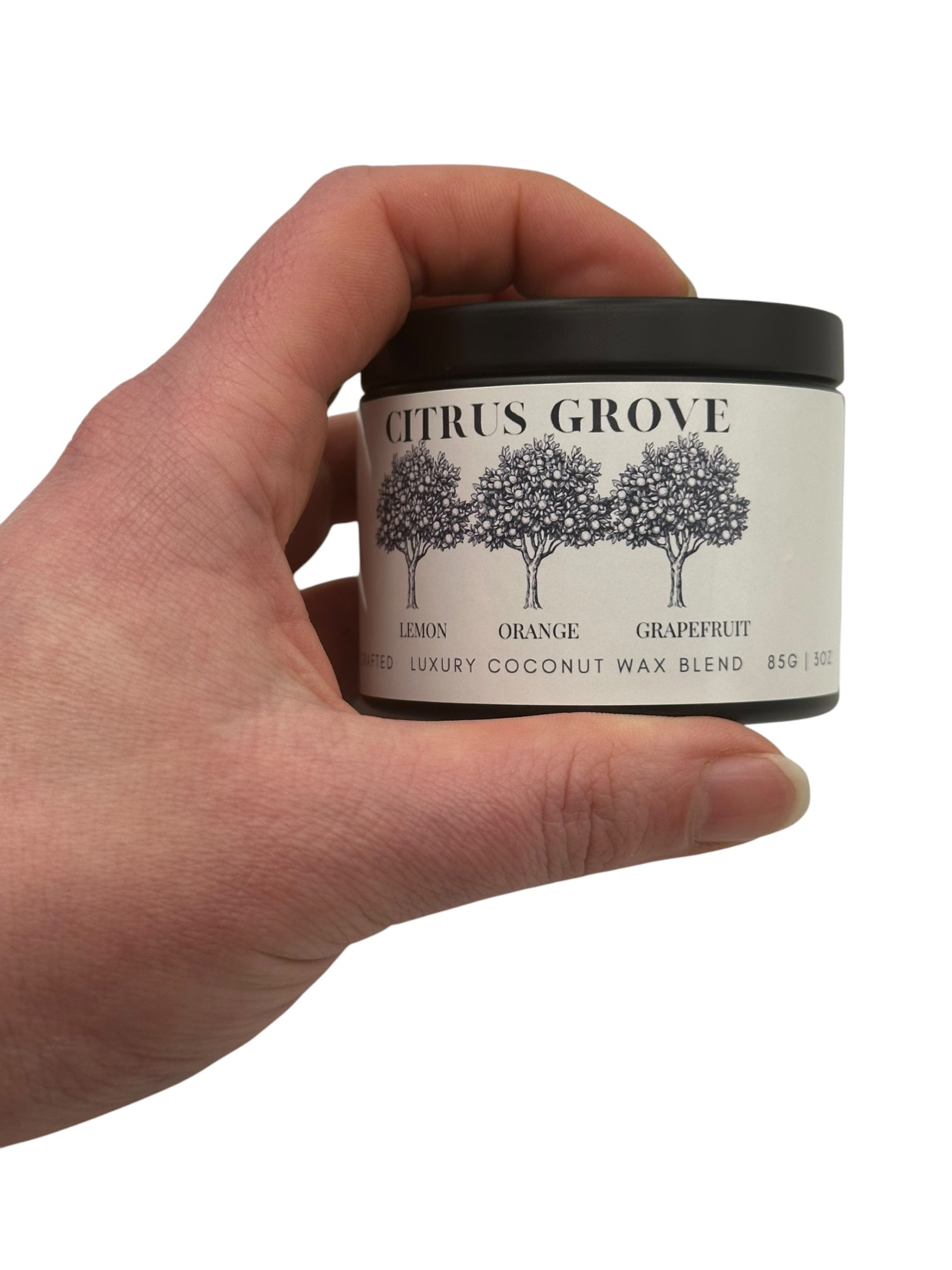Citrus Grove Travel Sized Candle Tin 3 oz Best Gift for Travel Lovers Handcrafted Luxury Coconut Blend Wax Travel Inspired Scented Candle - World Traveler Aroma