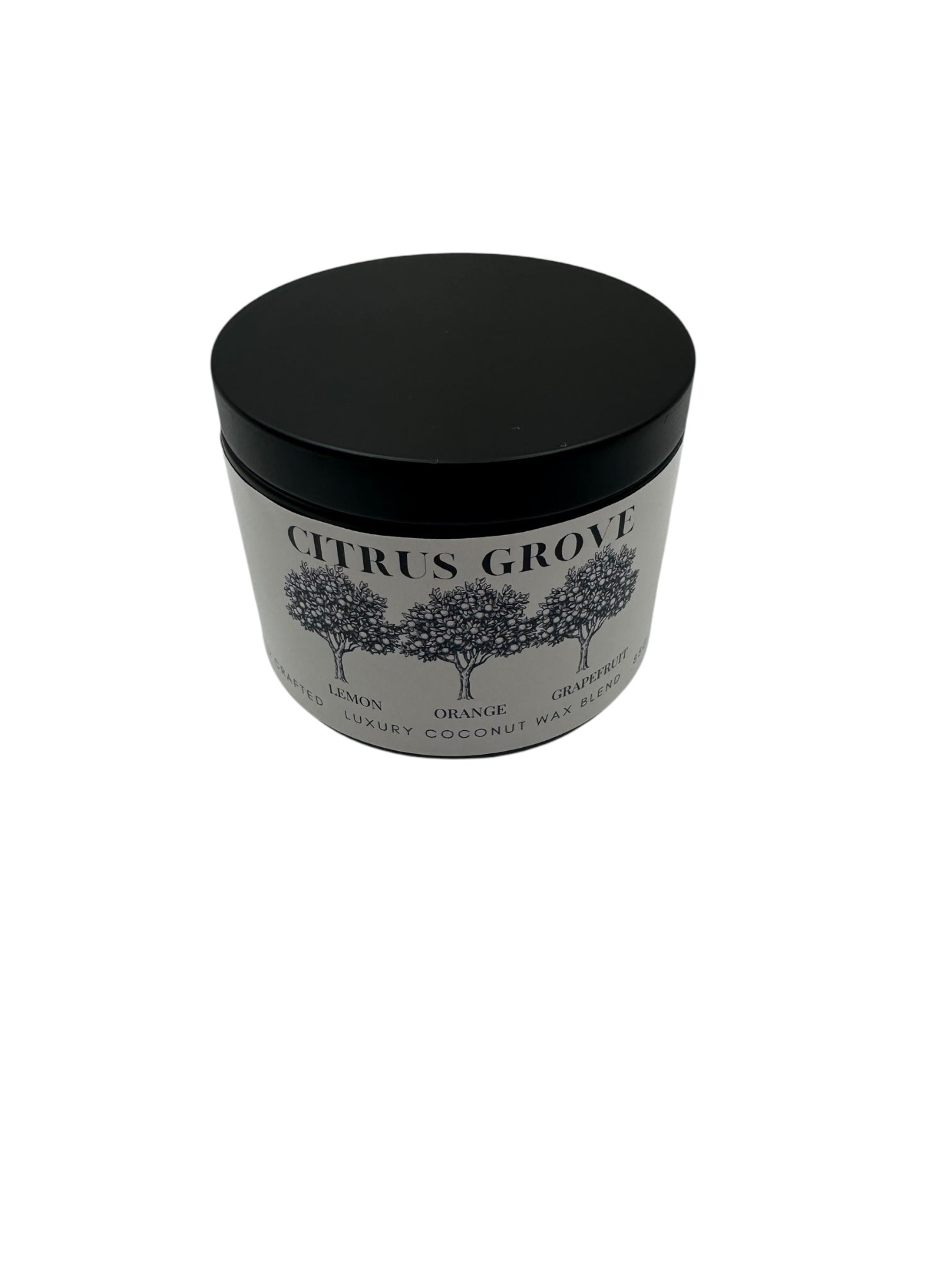 Citrus Grove Travel Sized Candle Tin 6 oz Best Gift for Travel Lovers Handcrafted Luxury Coconut Blend Wax Travel Inspired Scented Candle - World Traveler Aroma