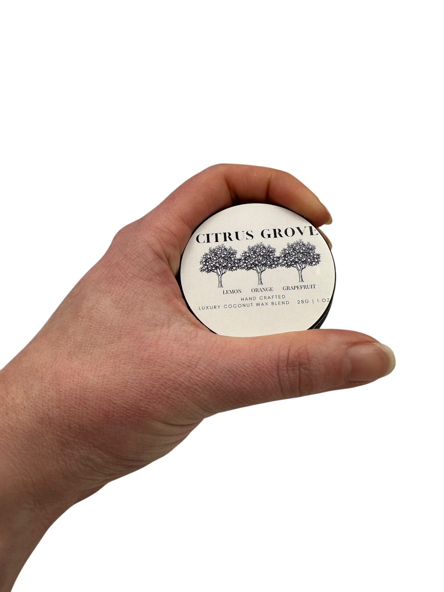 Citrus Grove Travel Sized Candle Tin 1 oz Best Gift for Travel Lovers Handcrafted Luxury Coconut Blend Wax Travel Inspired Scented Candle - World Traveler Aroma