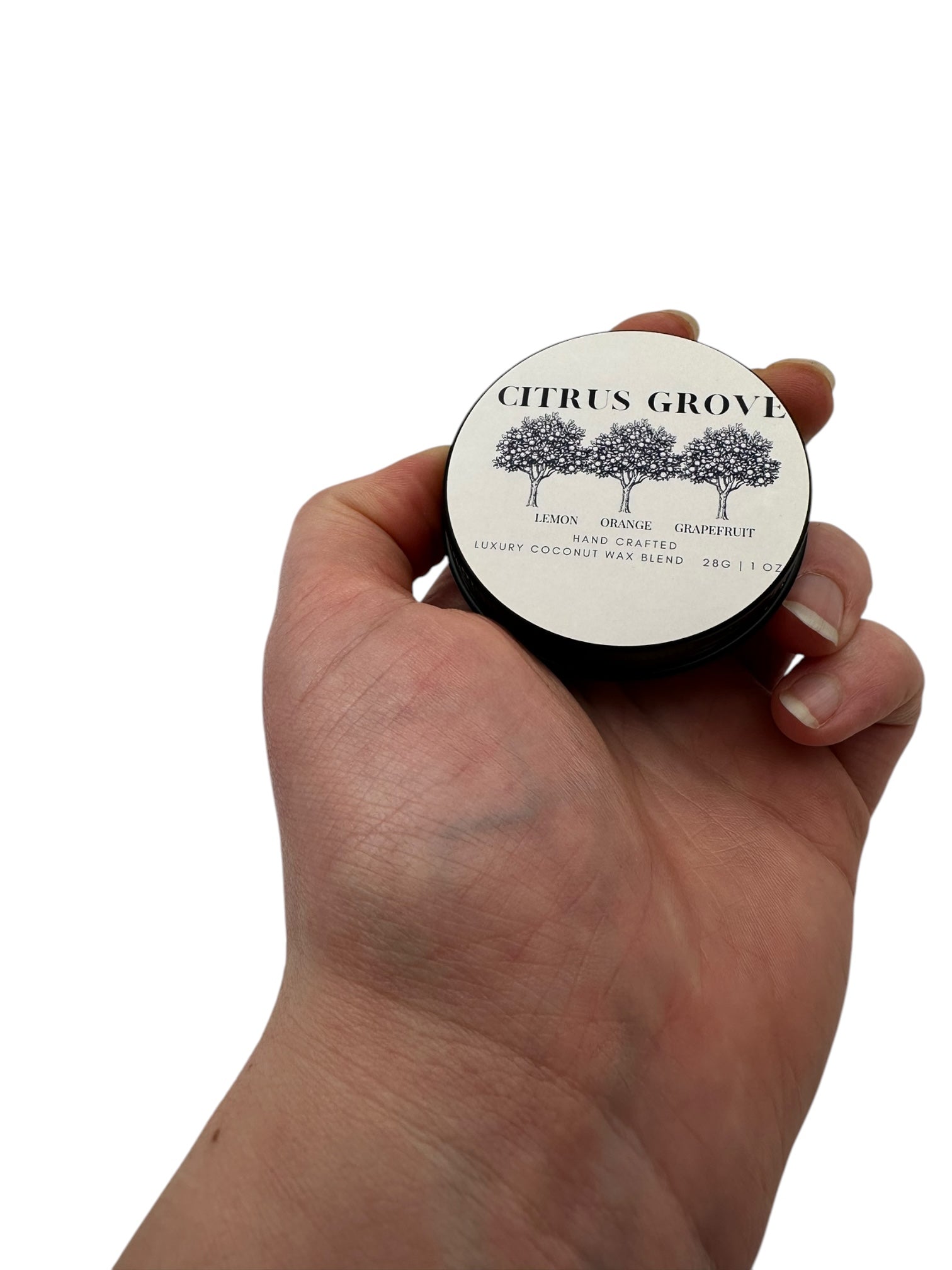 Citrus Grove Travel Sized Candle Tin 1 oz Best Gift for Travel Lovers Handcrafted Luxury Coconut Blend Wax Travel Inspired Scented Candle - World Traveler Aroma