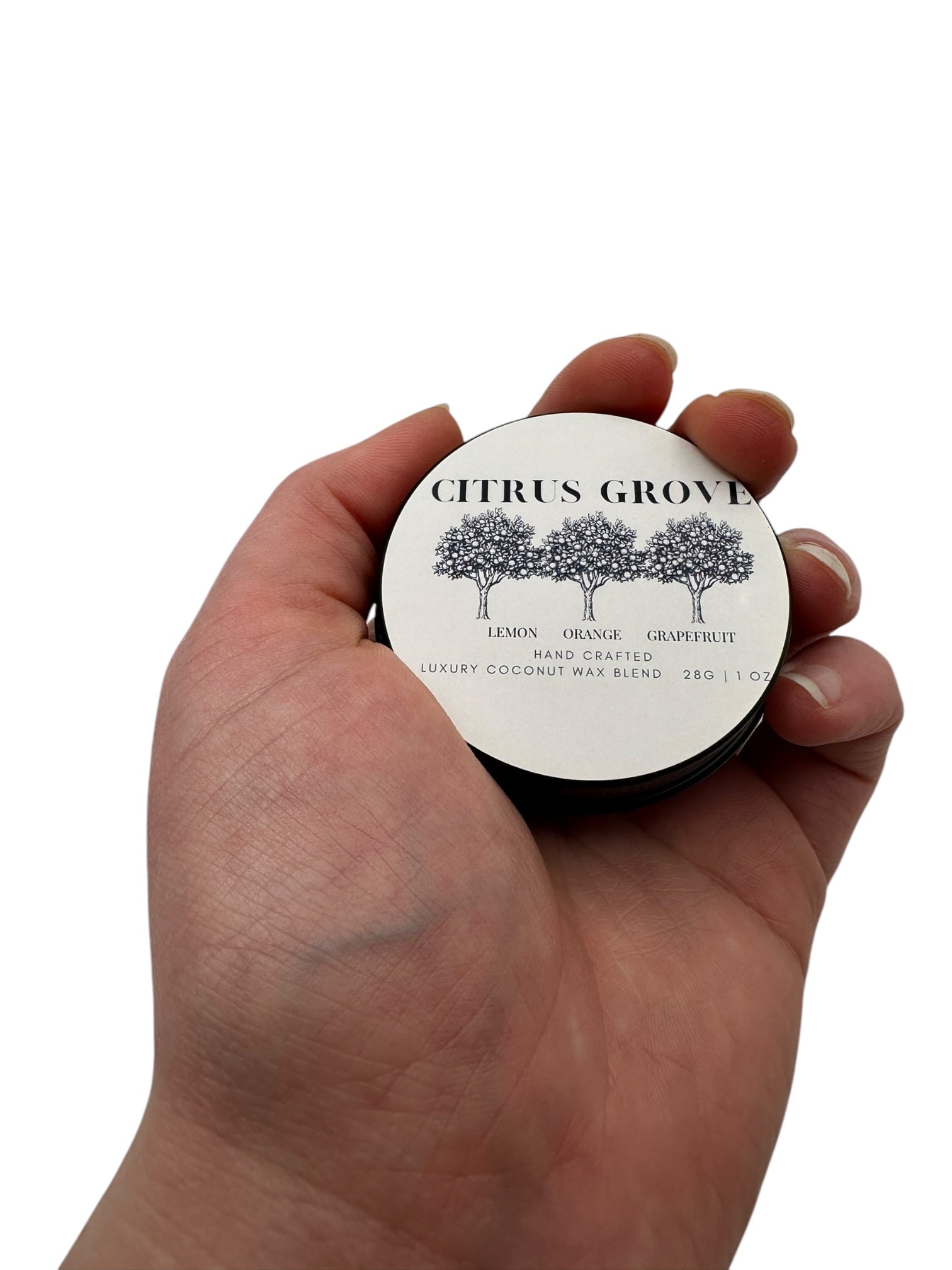 Citrus Grove Travel Sized Candle Tin 1 oz Best Gift for Travel Lovers Handcrafted Luxury Coconut Blend Wax Travel Inspired Scented Candle - World Traveler Aroma