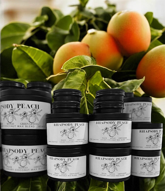 Rhapsody Peach Travel Sized Candle Tin 1 oz Best Gift for Travel Lovers Handcrafted Luxury Coconut Blend Wax Travel Inspired Scented Candle - World Traveler Aroma