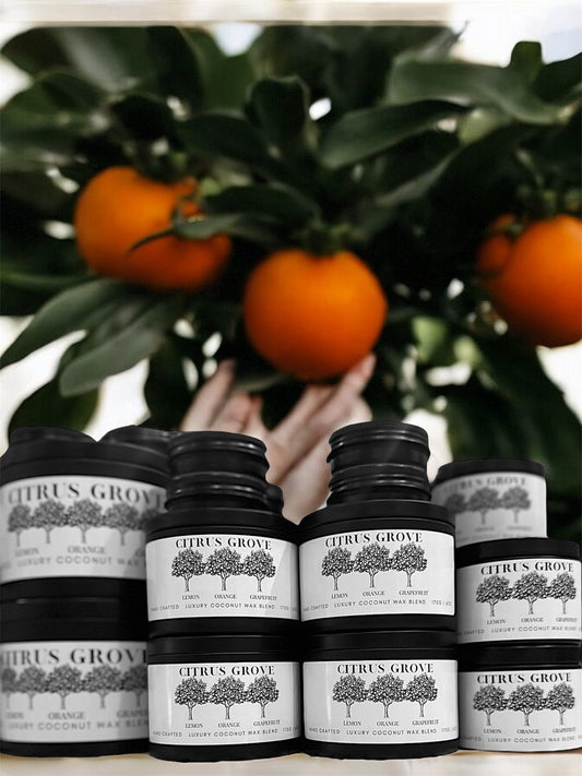 Citrus Grove Travel Sized Candle Tin 1 oz Best Gift for Travel Lovers Handcrafted Luxury Coconut Blend Wax Travel Inspired Scented Candle - World Traveler Aroma